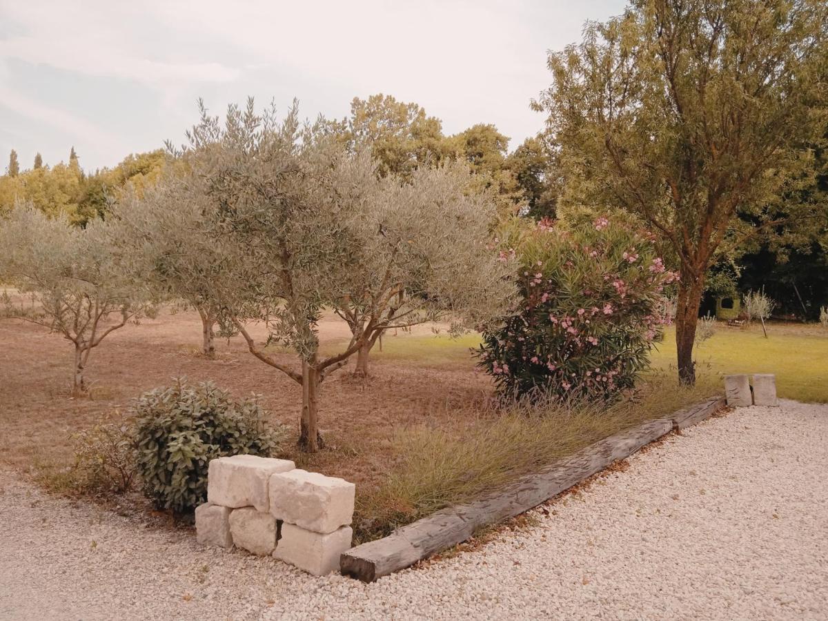 Gite Du Mas De La Finiere ,Avec Spa Interieur Châteaurenard Екстериор снимка