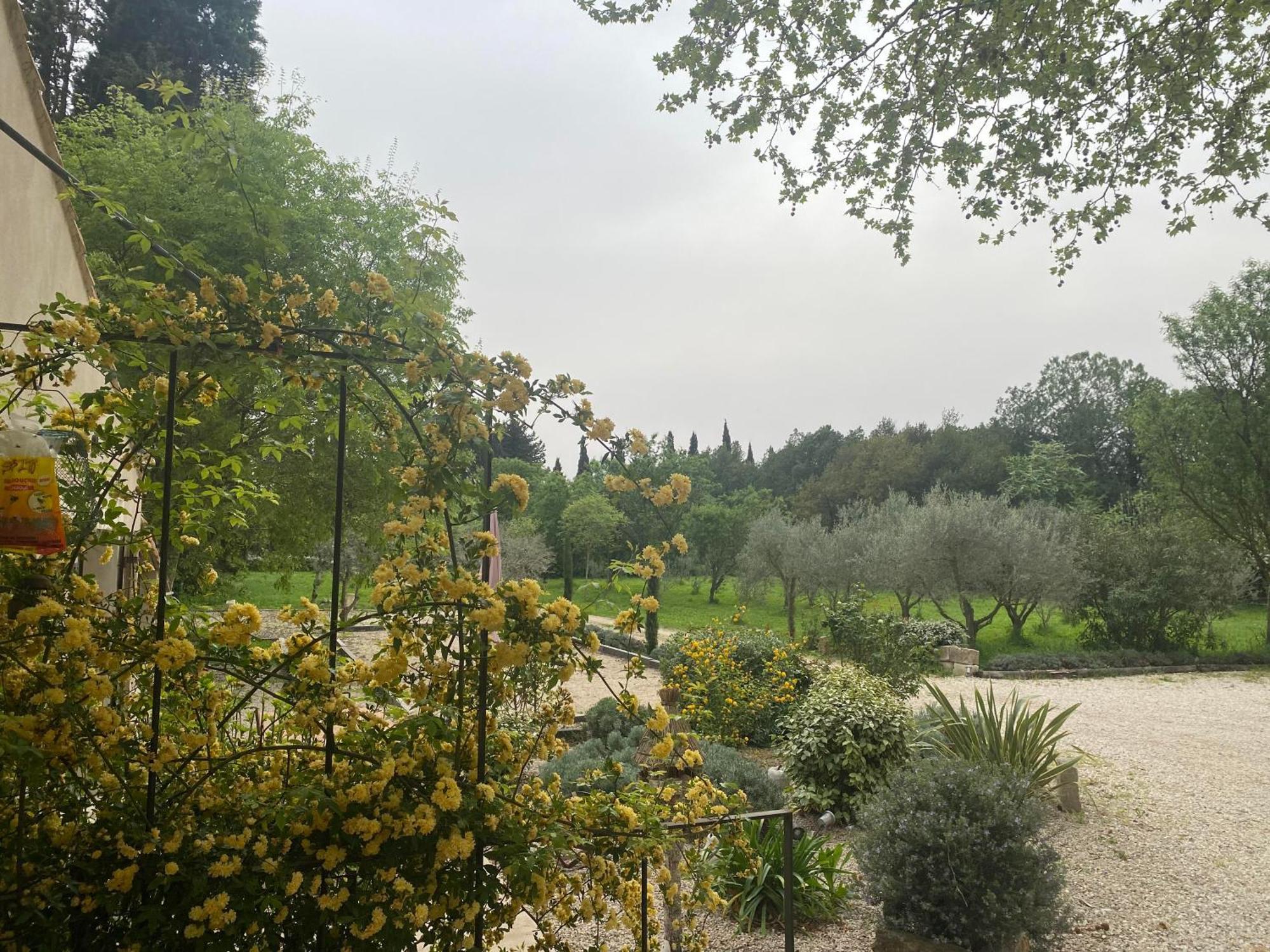 Gite Du Mas De La Finiere ,Avec Spa Interieur Châteaurenard Екстериор снимка